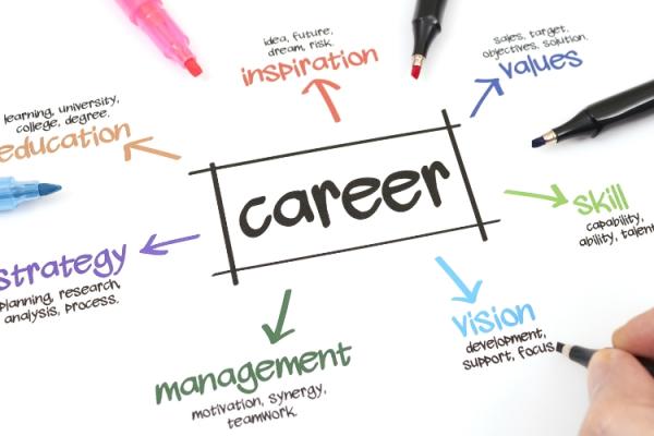 More Than Money: How Societal Validation Shapes Career Choices in India